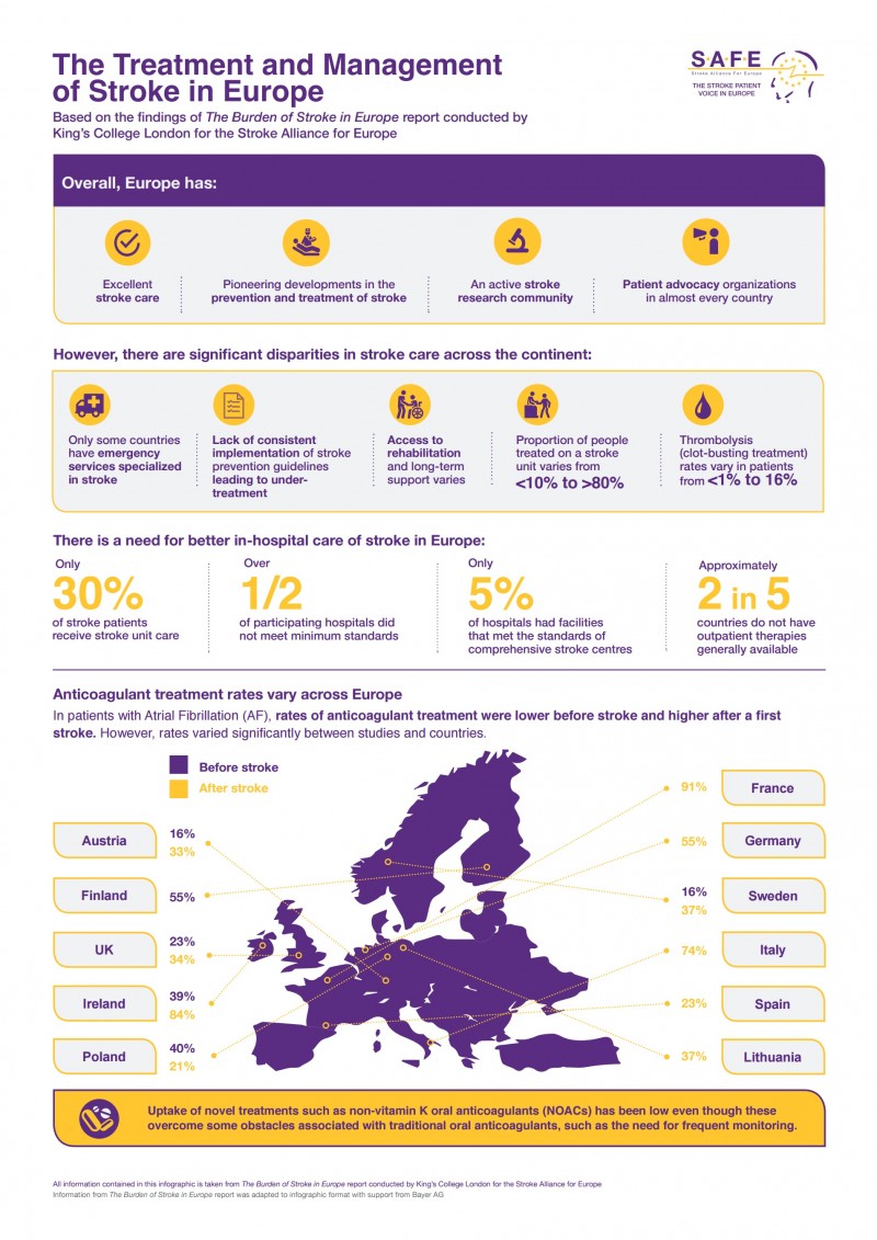 For the first time Burden of Stroke across Europe Infographics country by country SAFE
